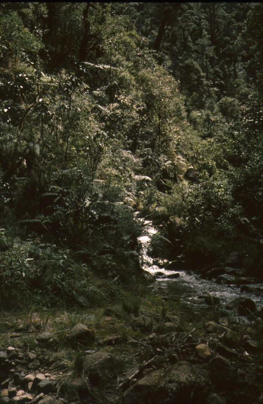 BD/166/410 - 
Bergstroom
