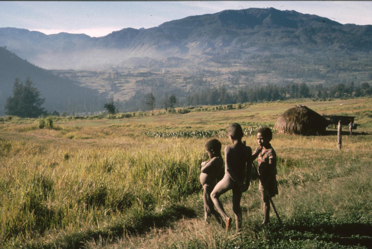 BD/166/417 -
Three Papua boys on a field