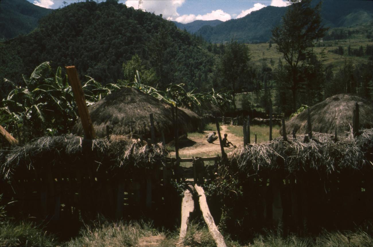 BD/166/424 -
Gathering of huts