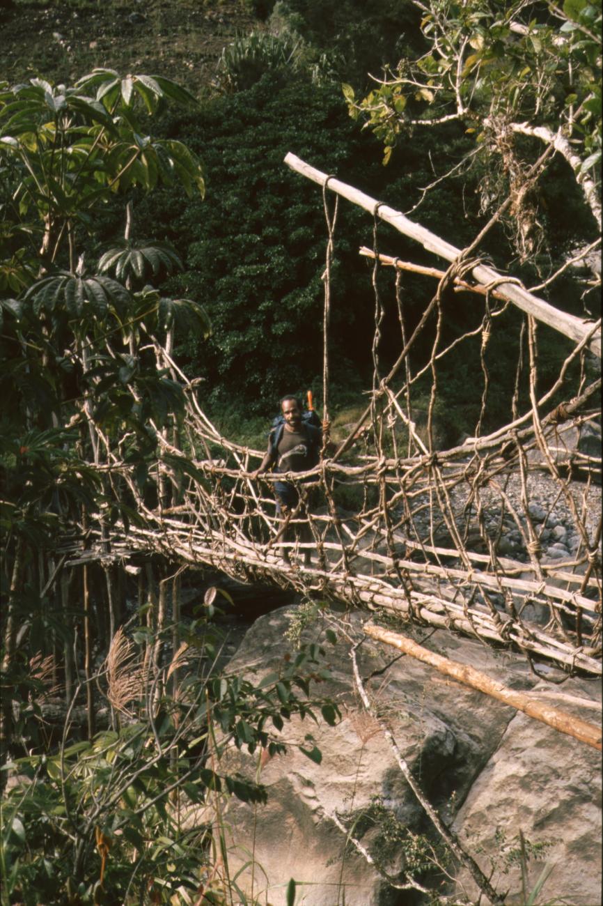 BD/166/425 -
Suspension bridge over the river
