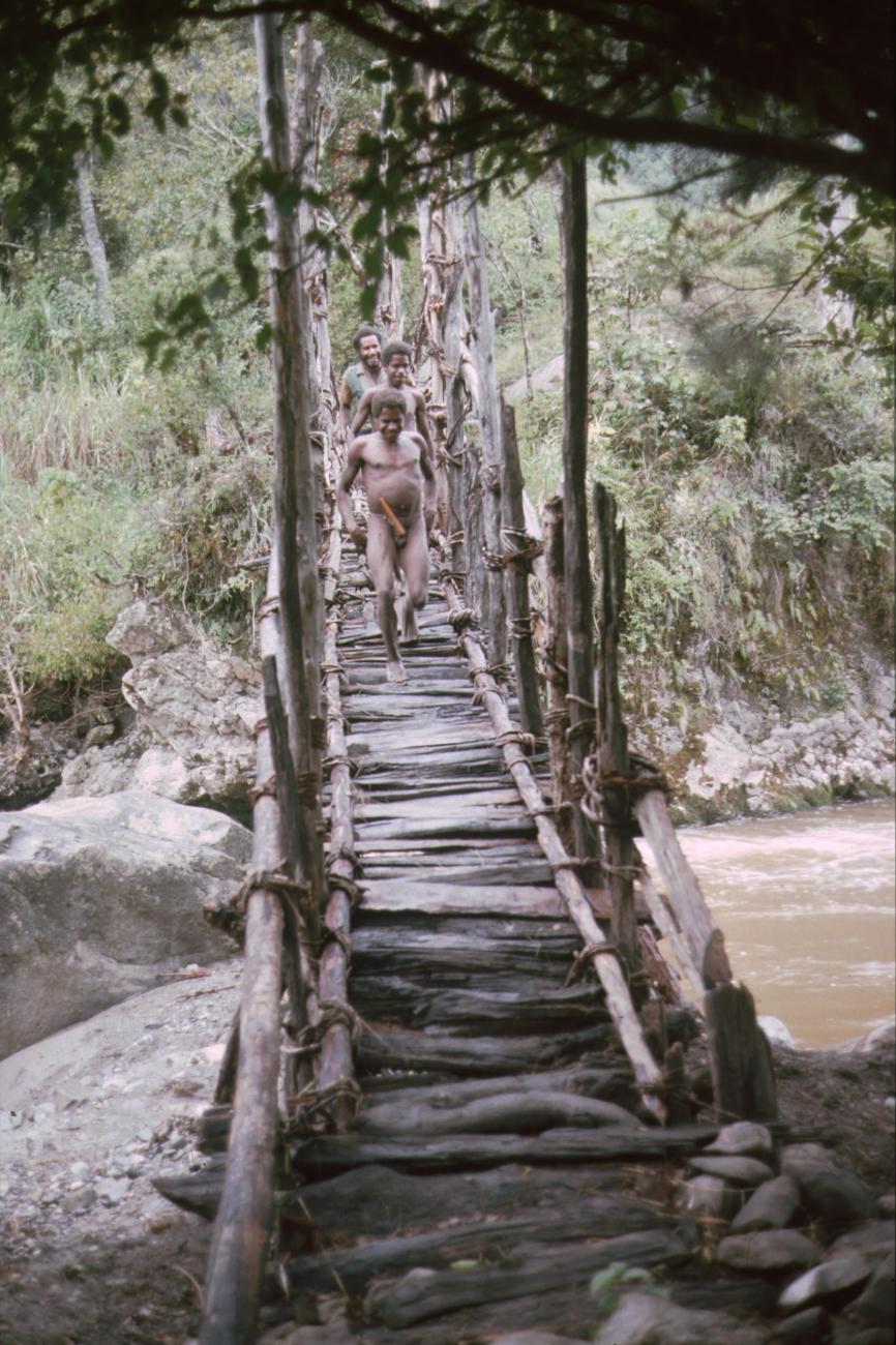 BD/166/425 -
Suspension bridge over the river