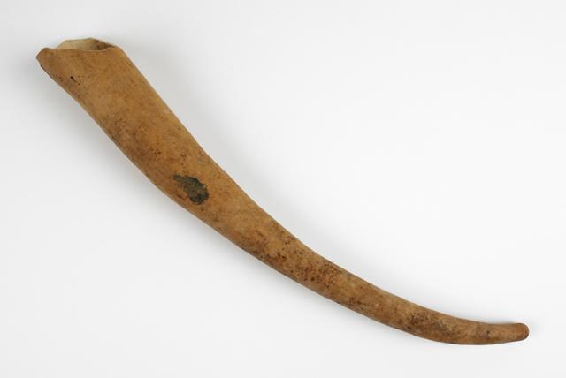 EA/260/10 - 
penis gourd
