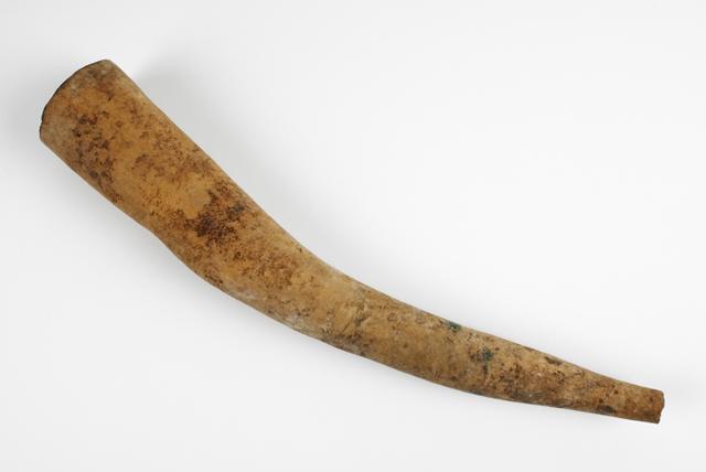 EA/260/9 - 
penis gourd

