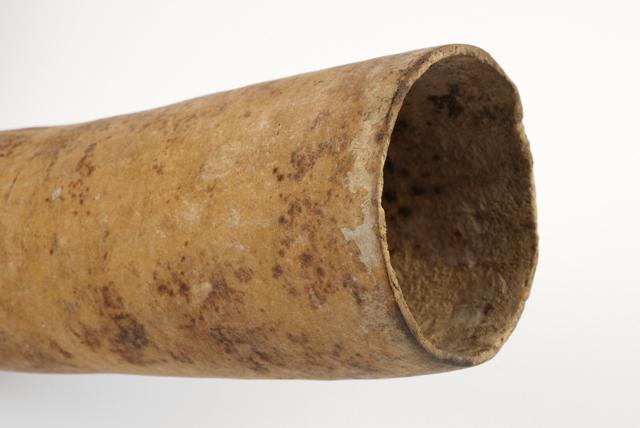 EA/260/9 - 
penis gourd
