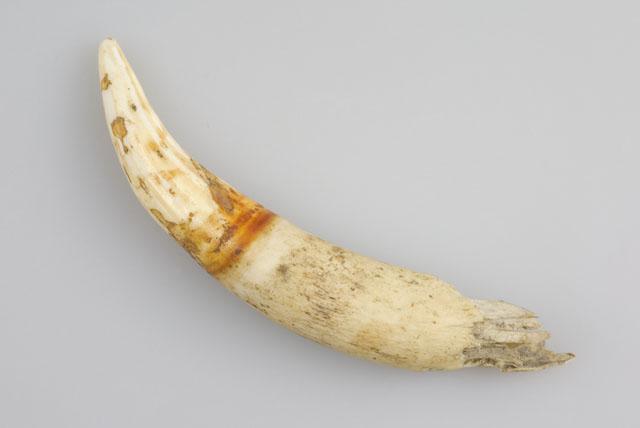 EA/240/95 - 
varkenstanden
