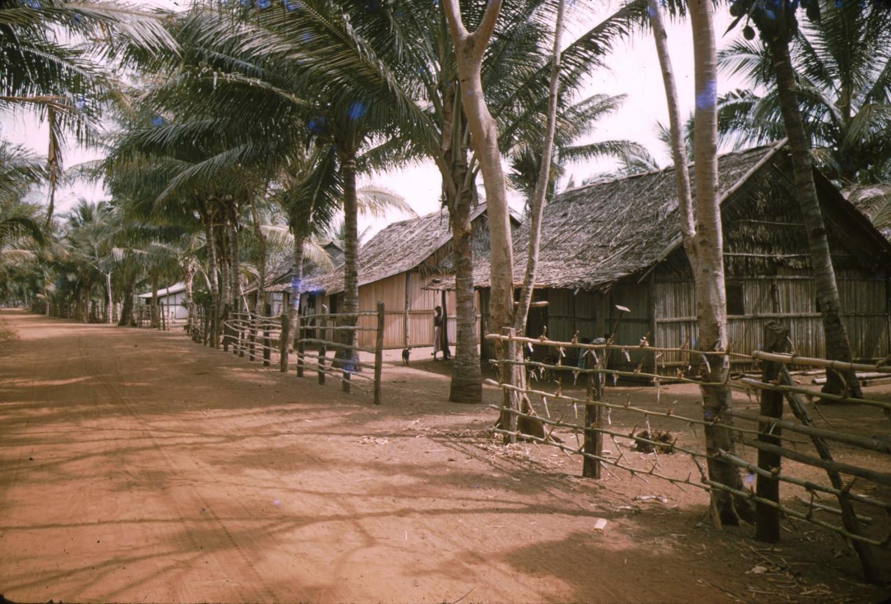 BD/209/9103 -
Merauke