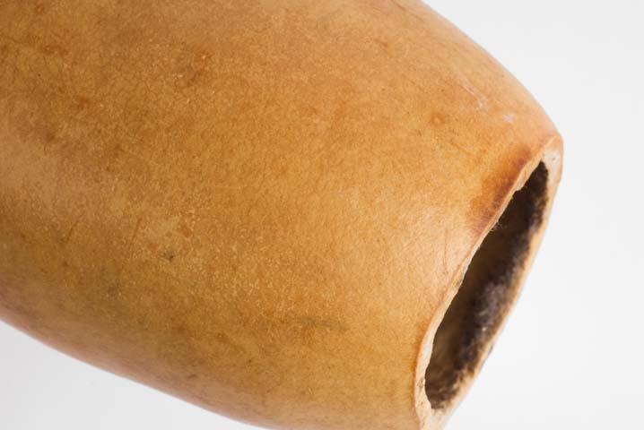 EA/287/1 - 
penis sheath
