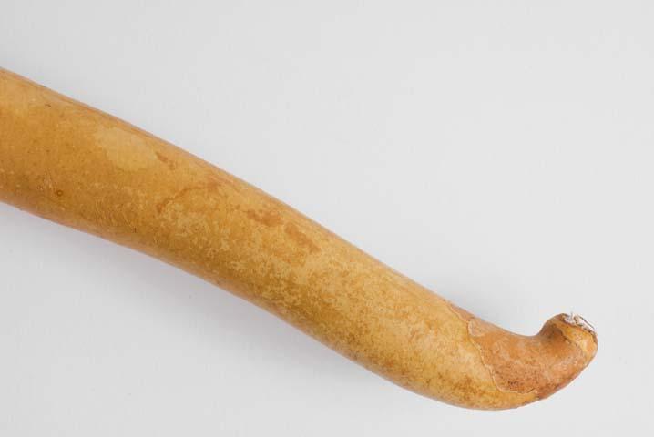 EA/287/1 - 
penis sheath
