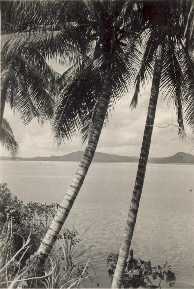 BD/308/10 -
Sentani