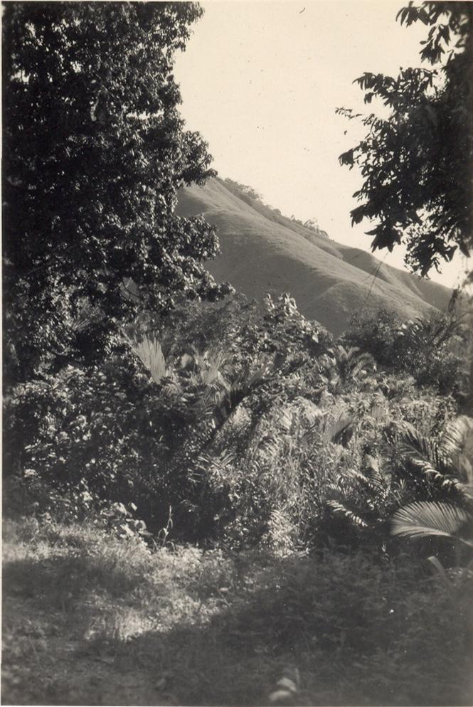 BD/308/14 -
Sentani