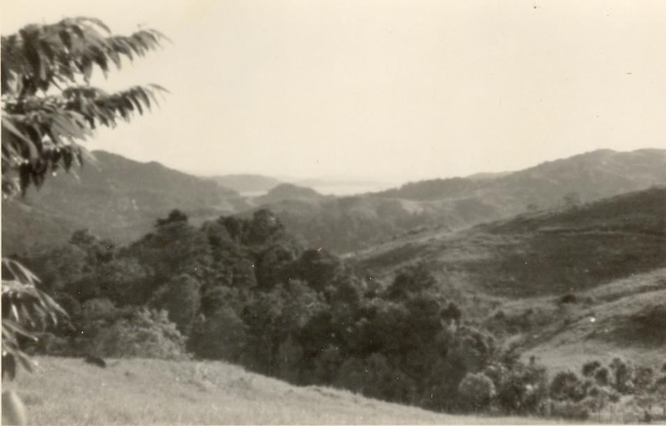 BD/308/75 -
Sentani