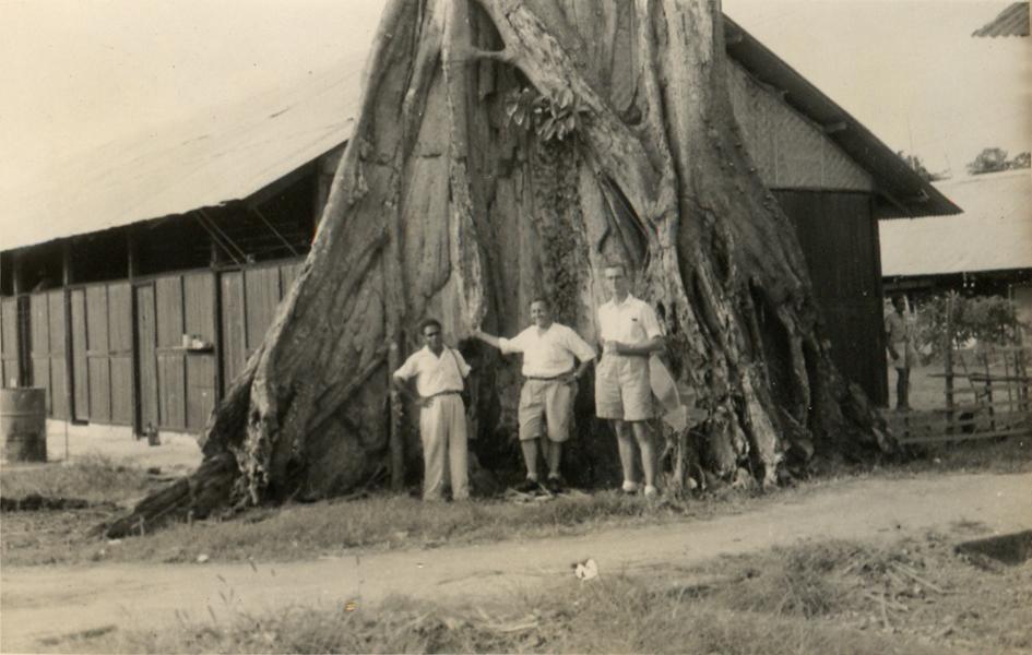 BD/308/126 - 
Sorong
