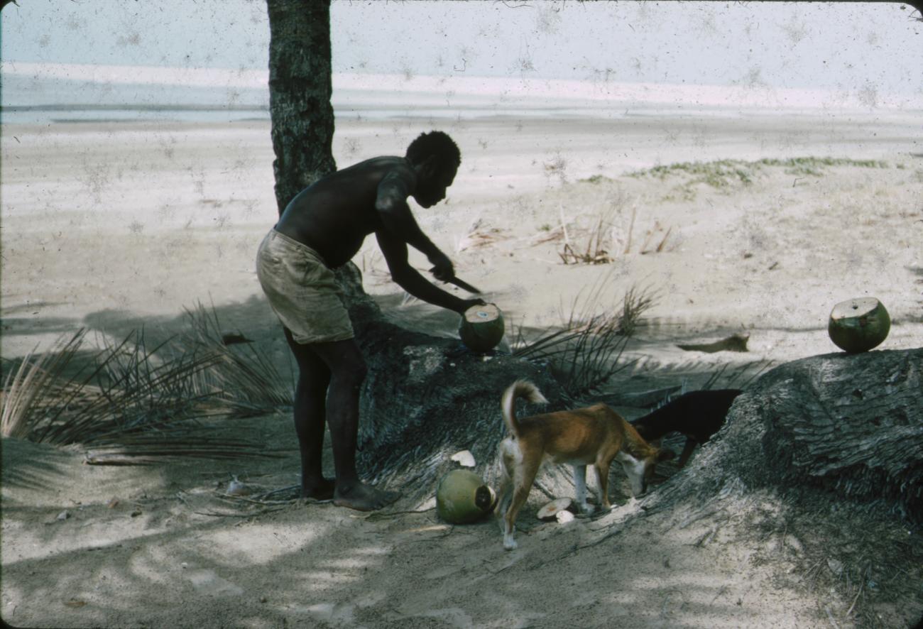 BD/288/121 -
Man snijdt in kokosnoot op het strand