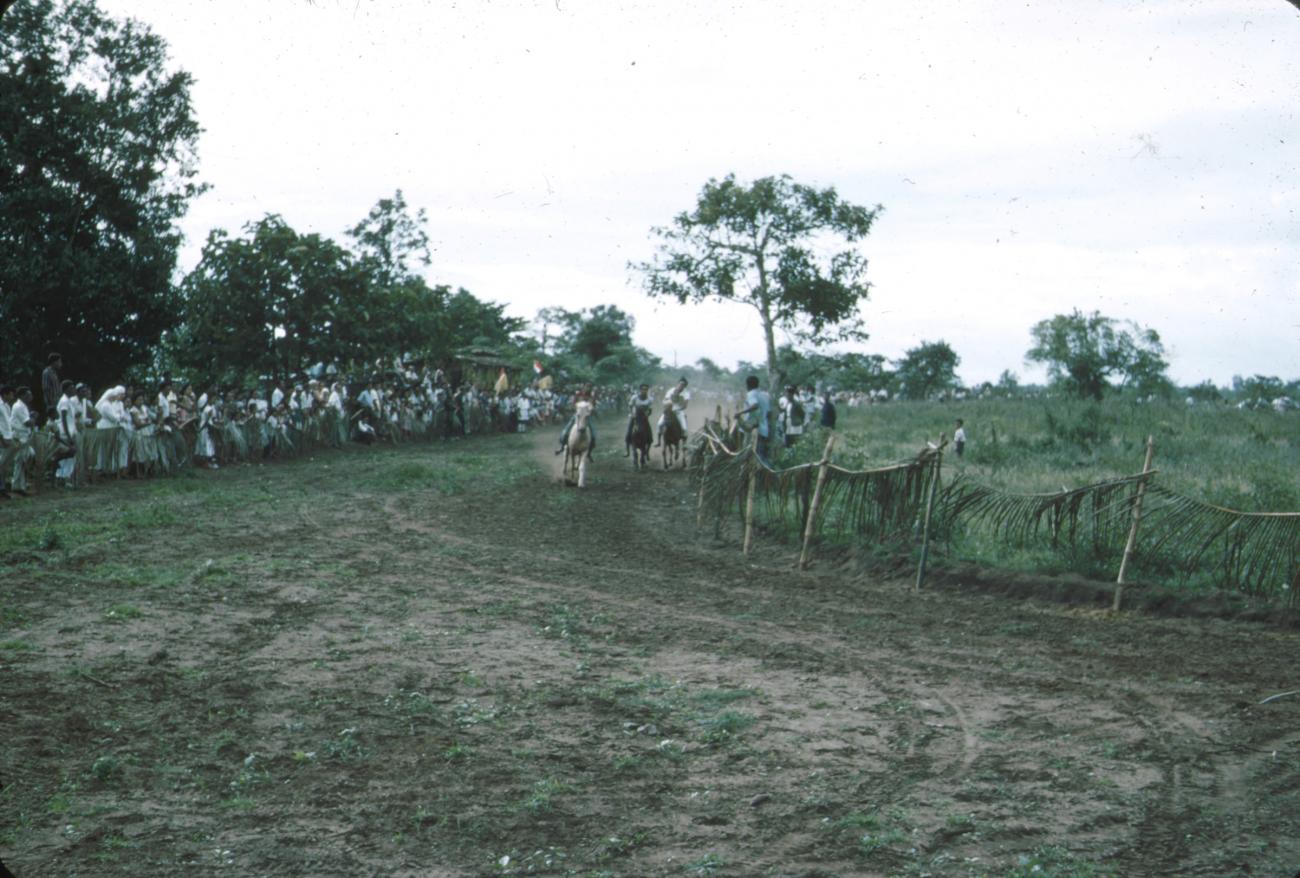 BD/288/139 -
Paardenrace