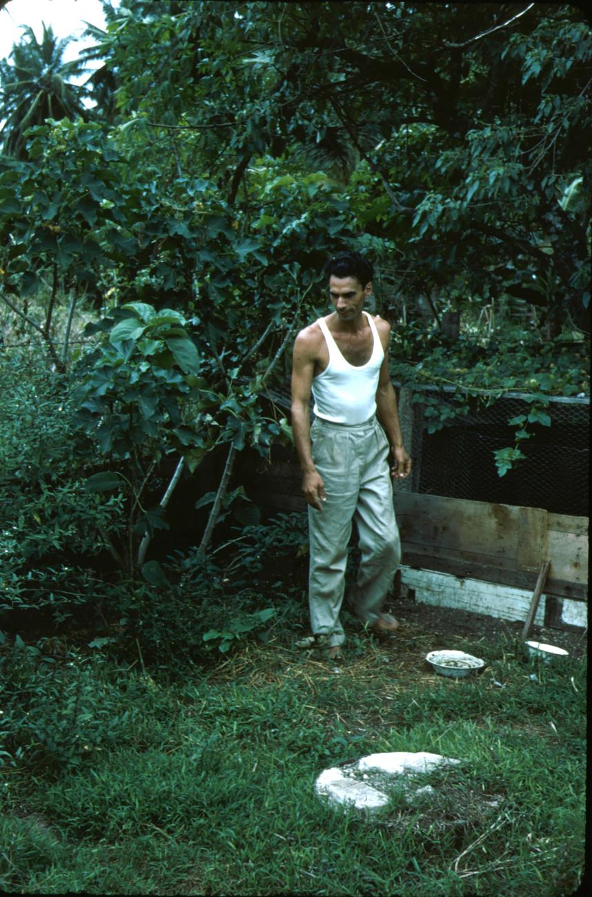 BD/288/161 -
Man in een tuin