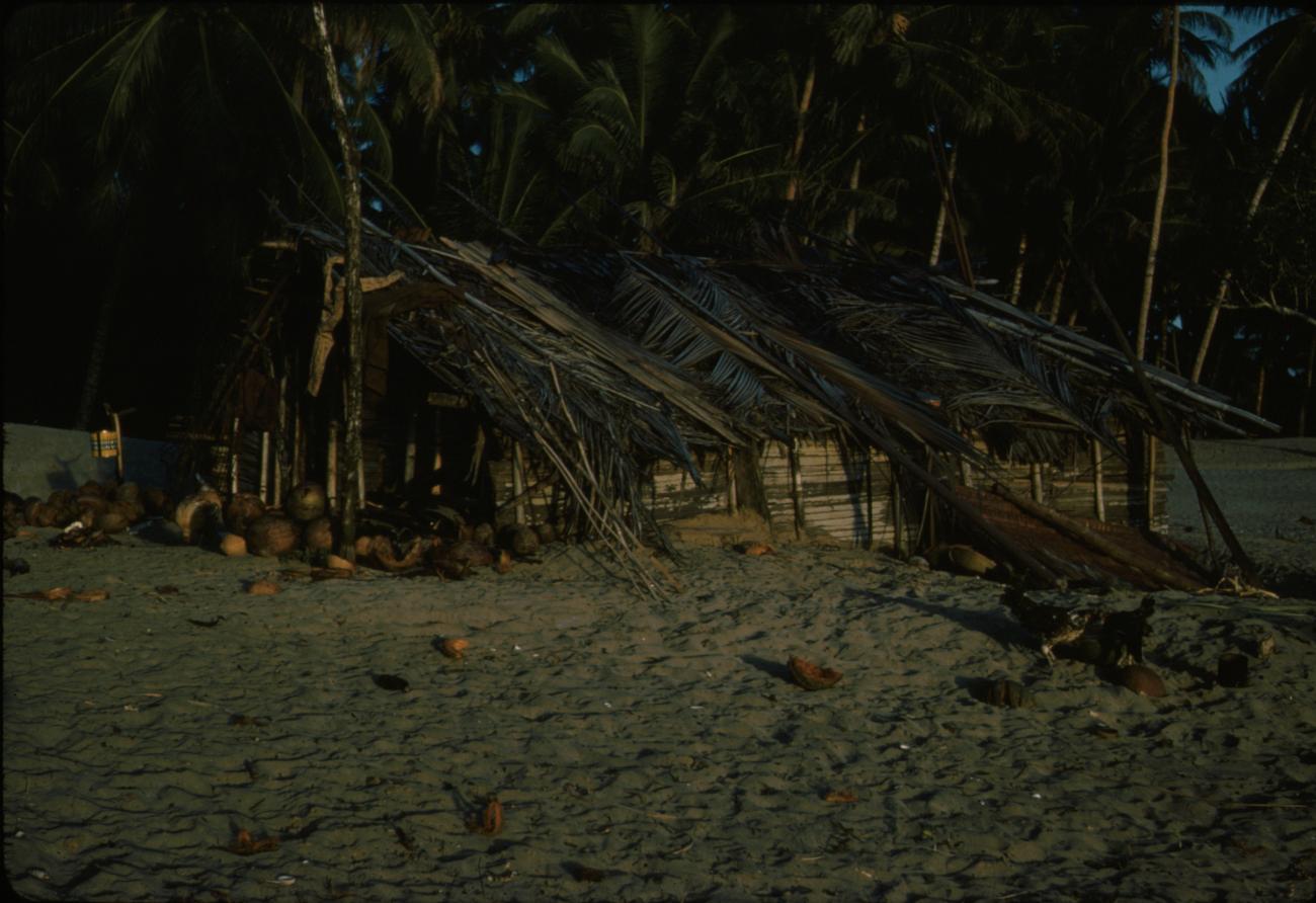 BD/288/44 -
Strandhut
