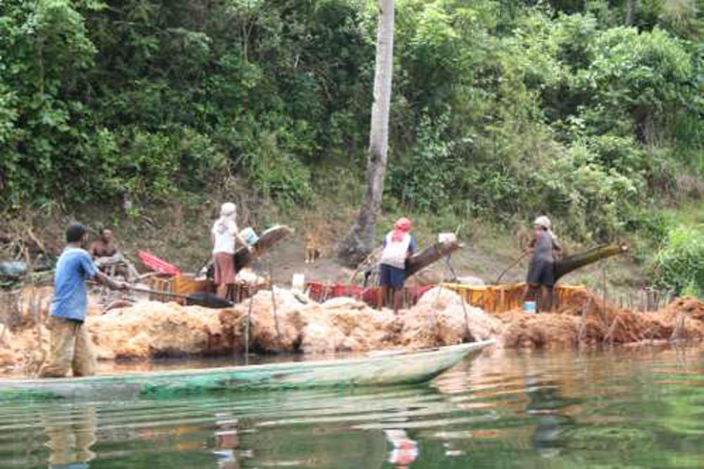 BD/153/7 - 
sagoproductie in Sentani

