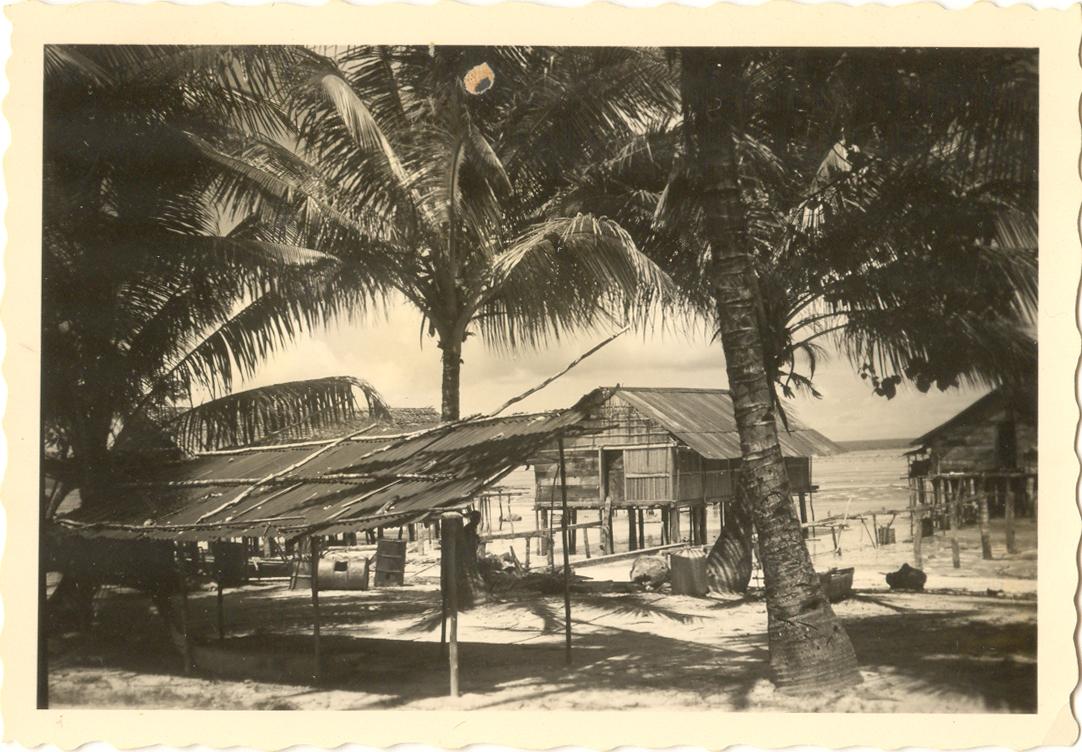 BD/84/2 -
Kampongwoning in Mokmer, Biak.