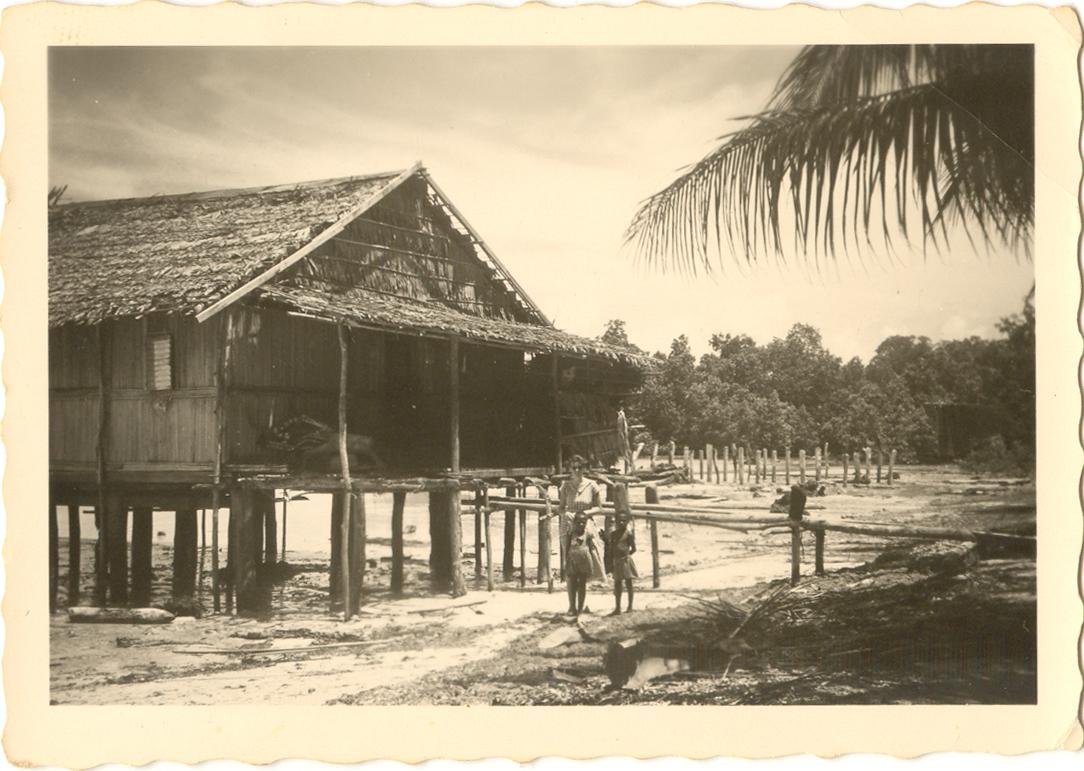 BD/84/3 -
Kampongwoning in Mokmer, Biak(2)