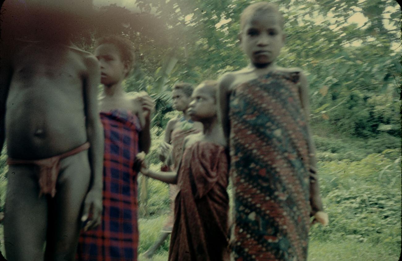 BD/144/263 - 
Groepsfoto papoea-kinderen
