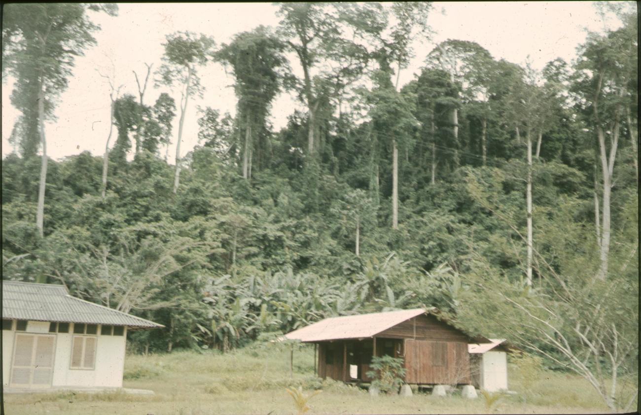 BD/144/632 -
Twee kleine westerse gebouwen, jungle op achtergrond