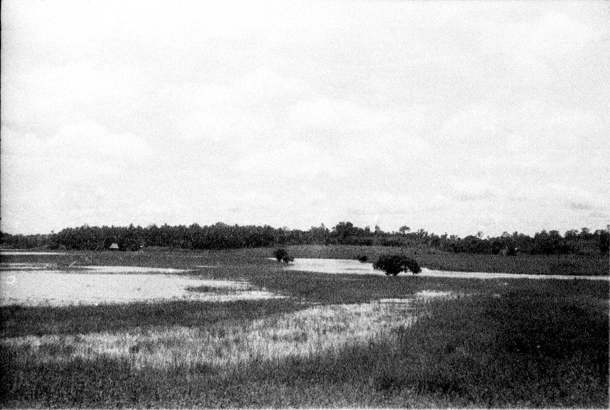 BD/67/240 - 
Landscape picture of water and reed
