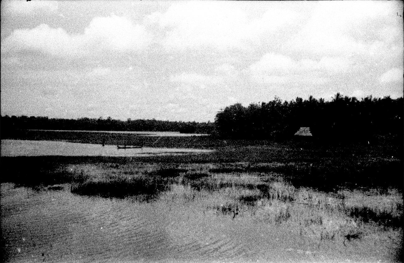 BD/67/241 - 
Landscape picture of water and reed
