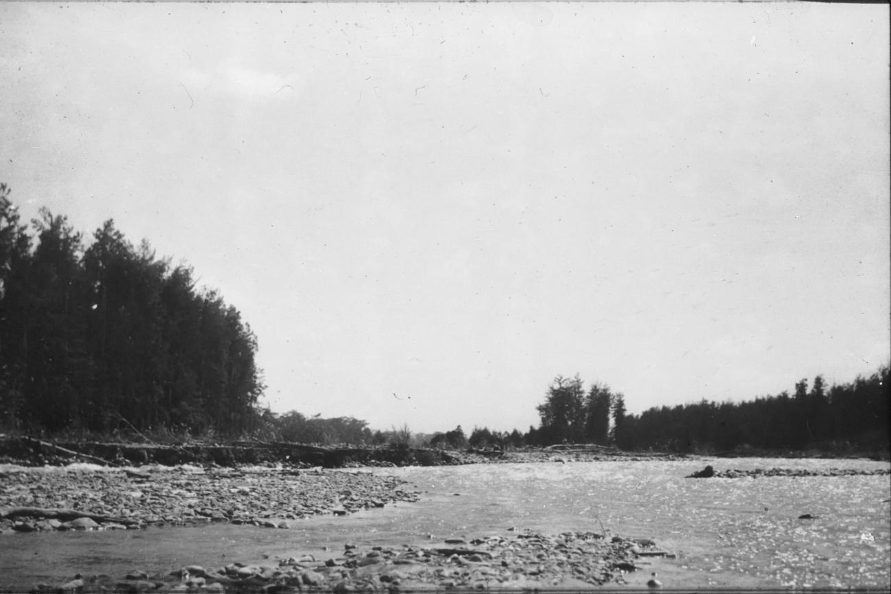 BD/279/1 -
Benedenloop Wariori rivier