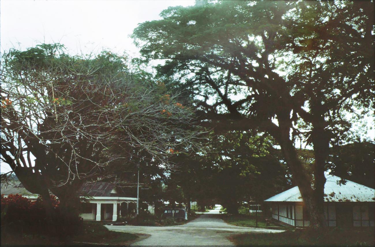 BD/279/71 -
Begin van de fanindi weg In Manokwari