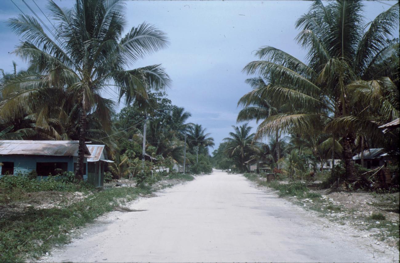 BD/279/82 -
Weg naar Mokmer