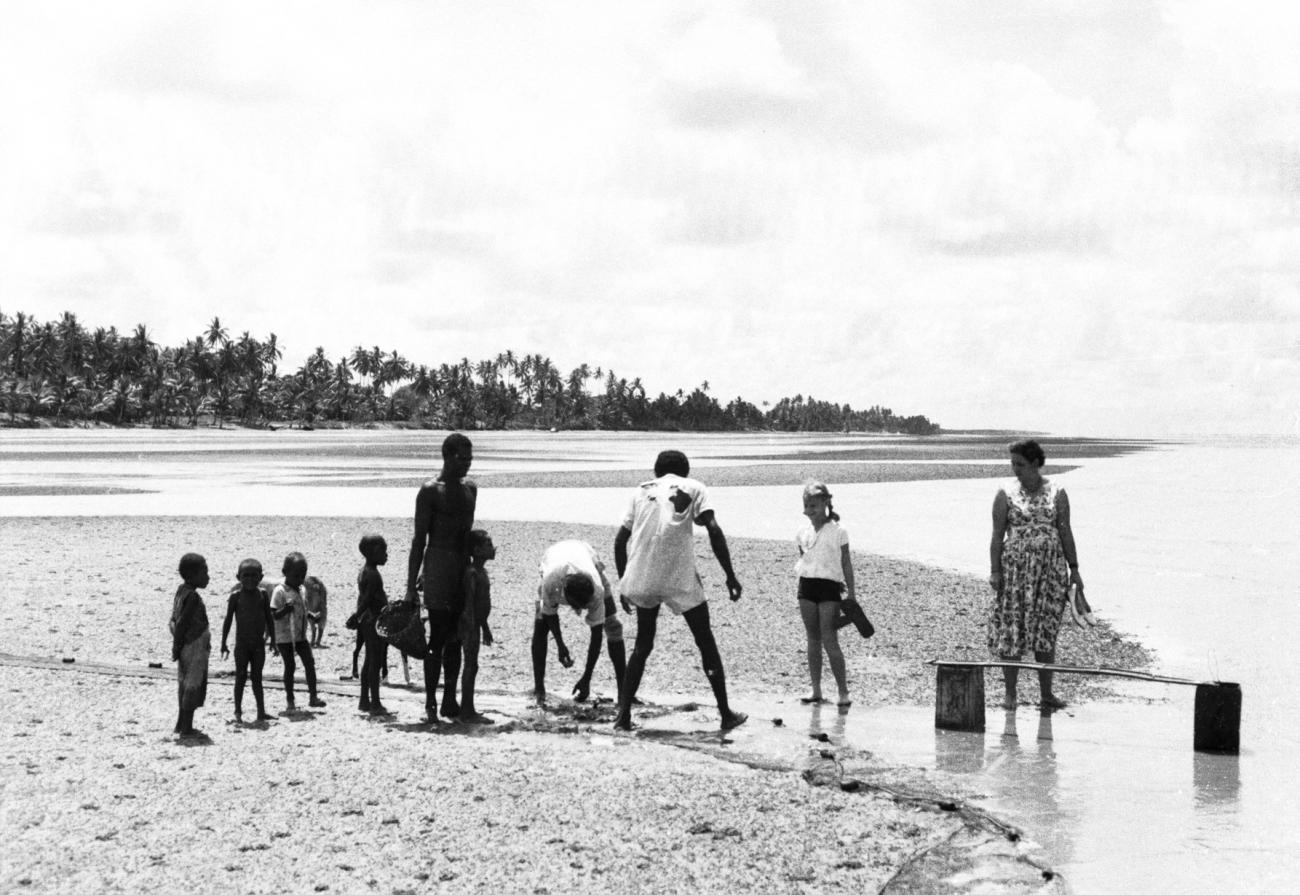 BD/133/1029 -
Papoea's vissen aan het strand met toekijkende westerlingen