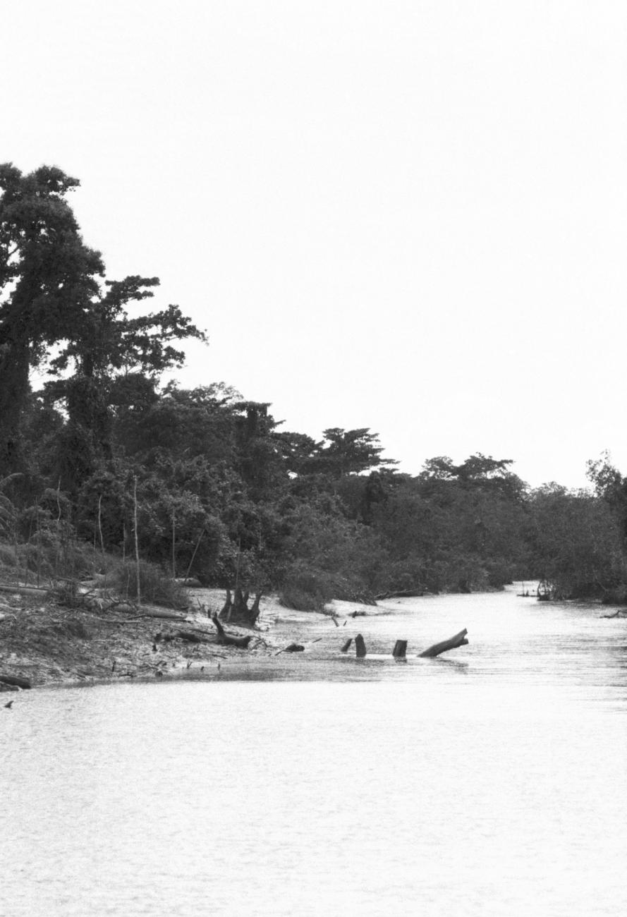BD/133/1153 -
Rivier met dicht beboste oevers
