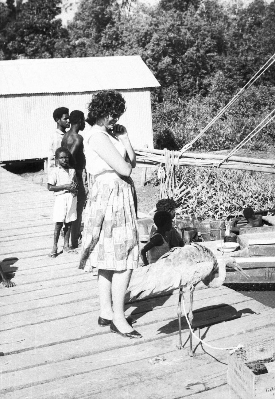 BD/133/194 - 
Een ibis-achtige vogel op de steiger
