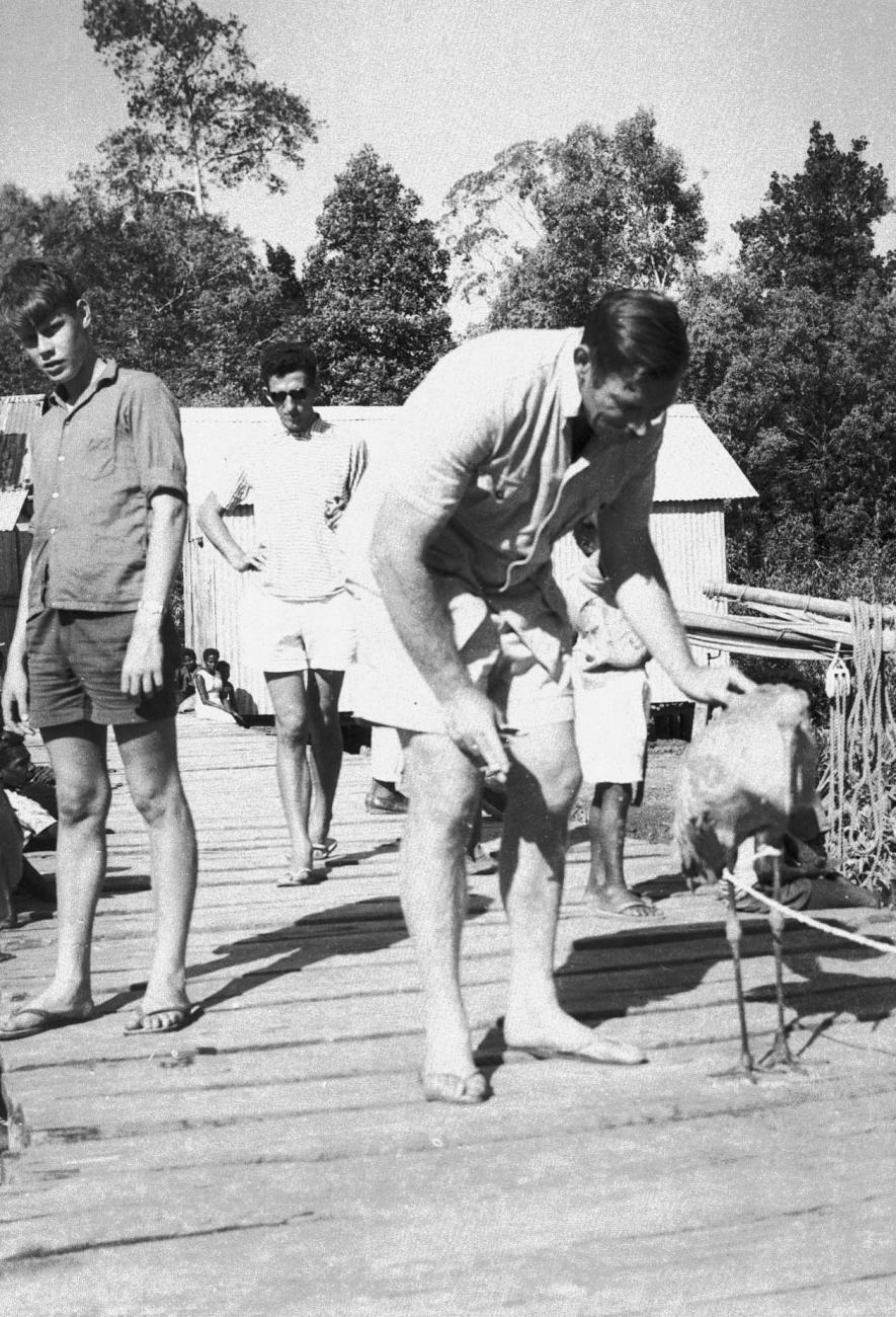 BD/133/197 - 
Een ibis-achtige vogel op de steiger
