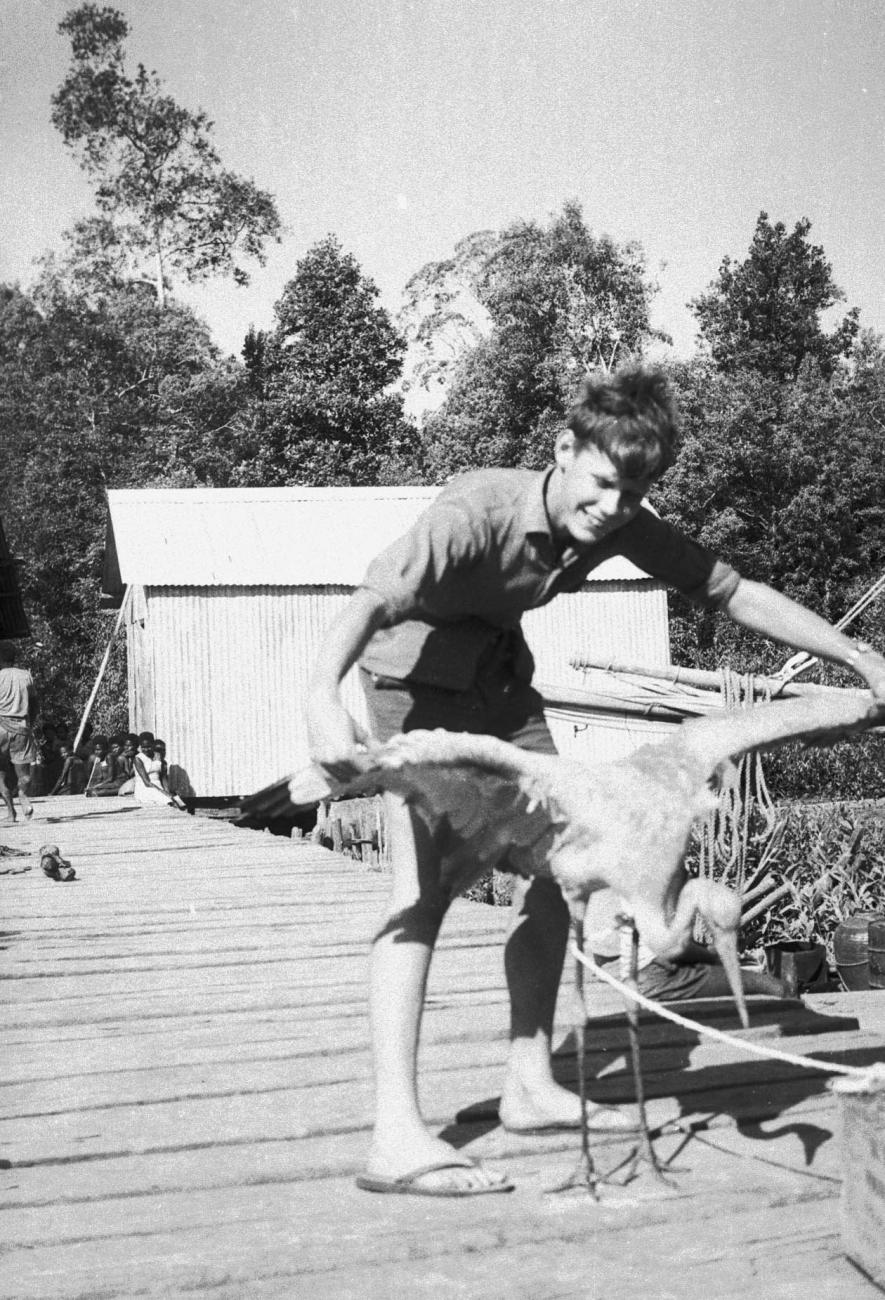 BD/133/198 - 
De spanwijdte van de vogel

