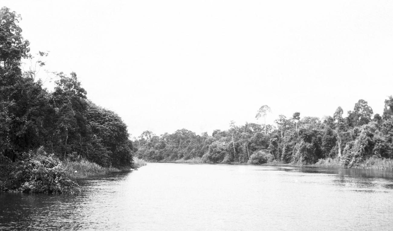 BD/133/223 -
Opname van de rivier met haar oevers