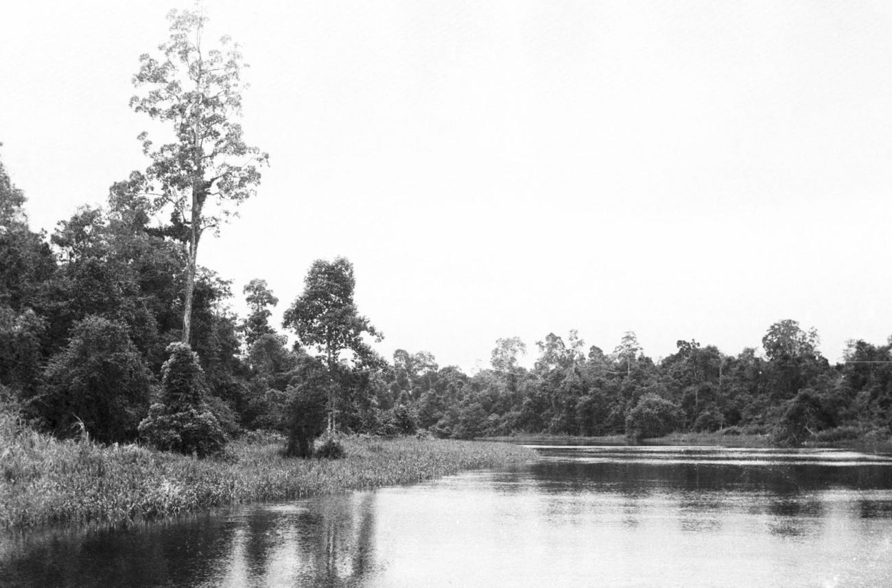 BD/133/227 -
Opname van de rivier met haar oevers