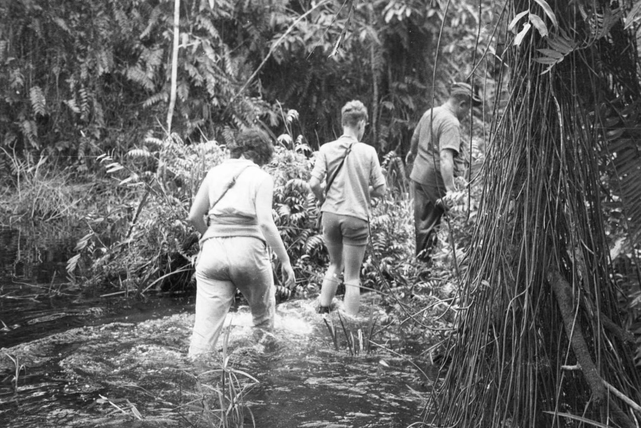 BD/133/238 -
Vervolg van de tocht te voet door het lage water