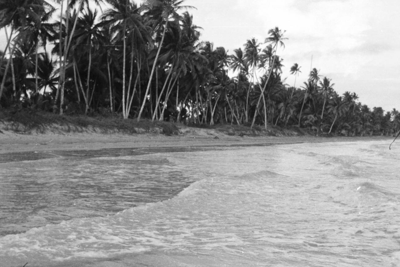 BD/133/23 - 
The beach near Merauke
