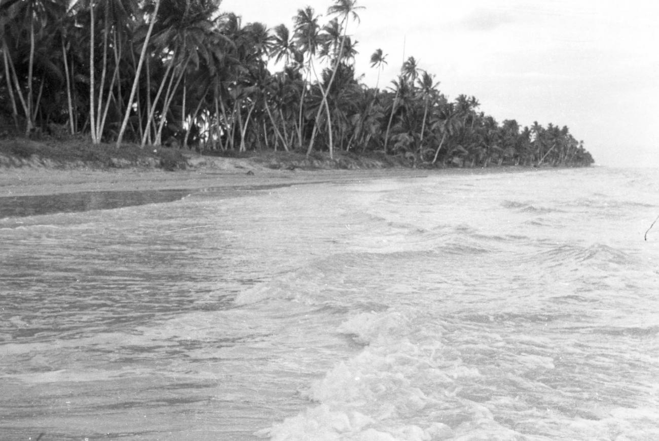 BD/133/24 - 
The beach near Merauke
