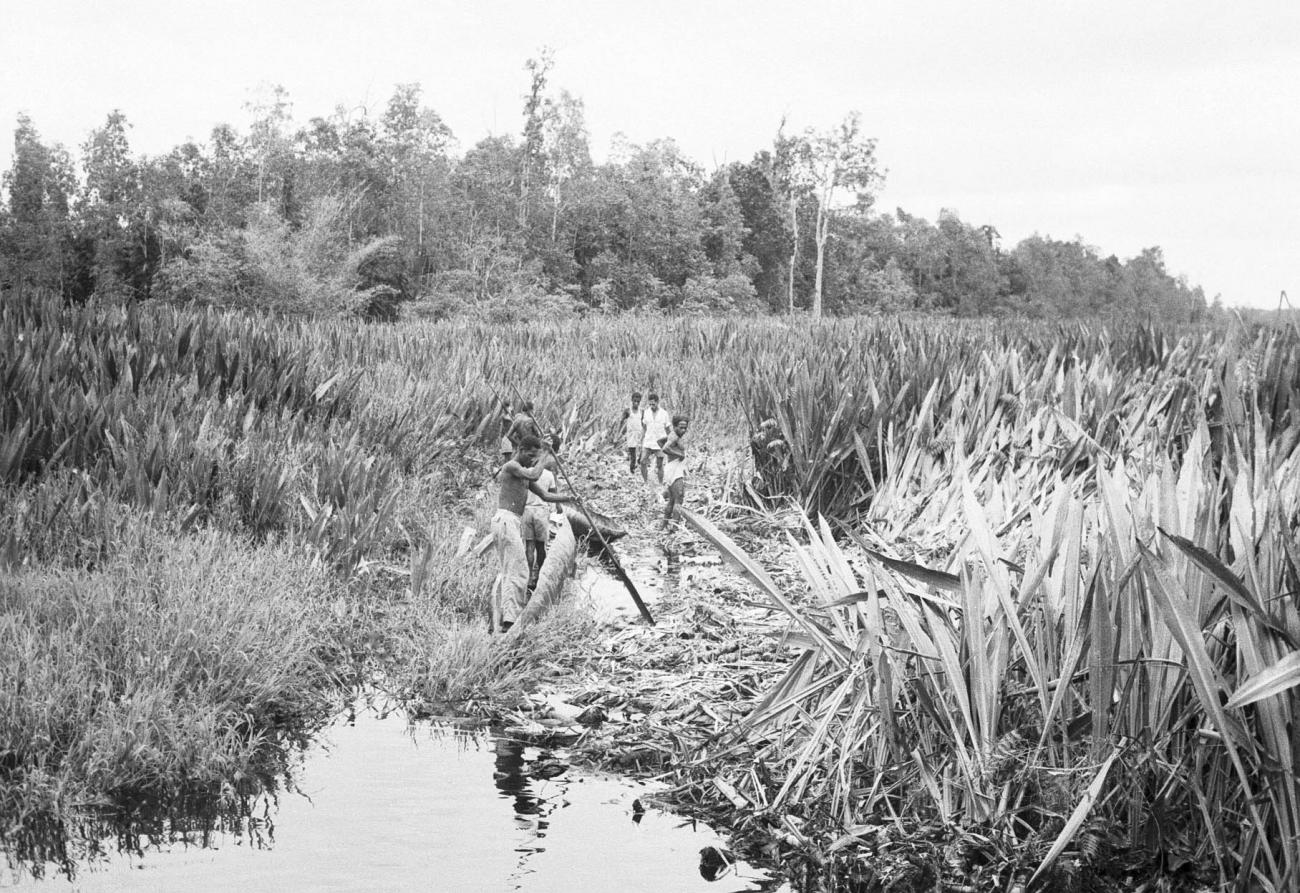 BD/133/258 - 
Met een prauw tussen het riet door
