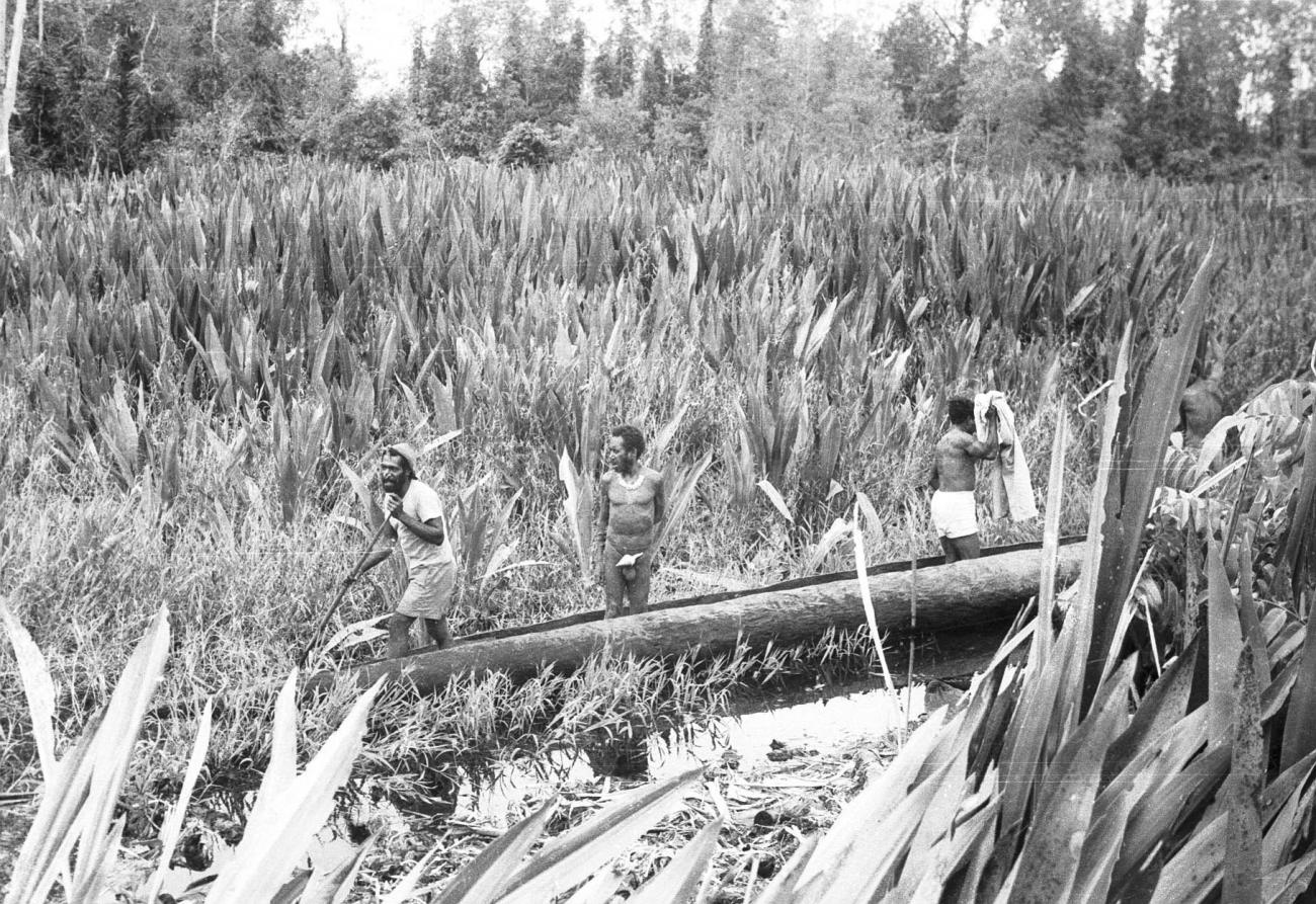 BD/133/260 -
Met een prauw tussen het riet door