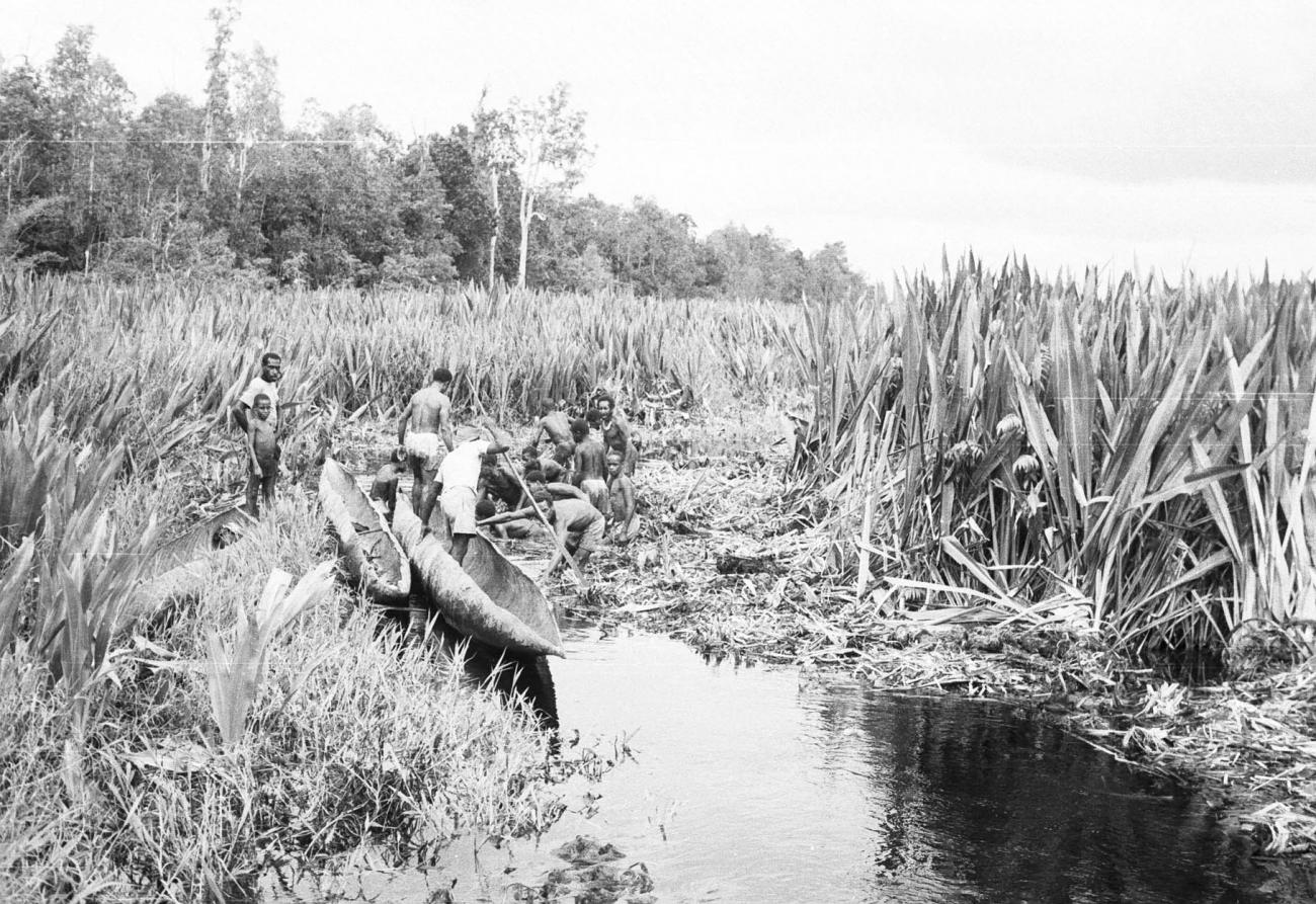 BD/133/263 -
Door het riet een doorvaarroute voor de motorboot vrijmakend