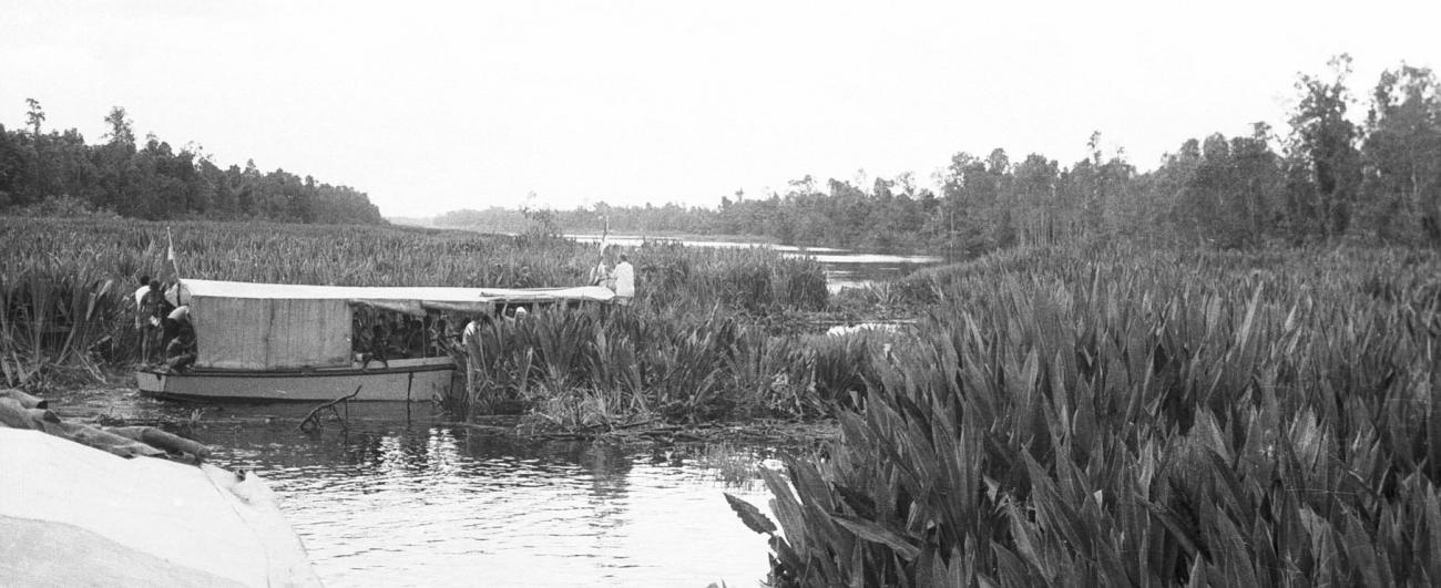 BD/133/271 - 
De motorboot gaat door het riet
