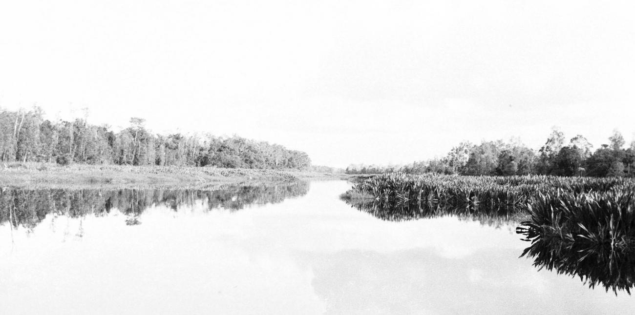 BD/133/278 -
Opname van de rivier met rietbegroei