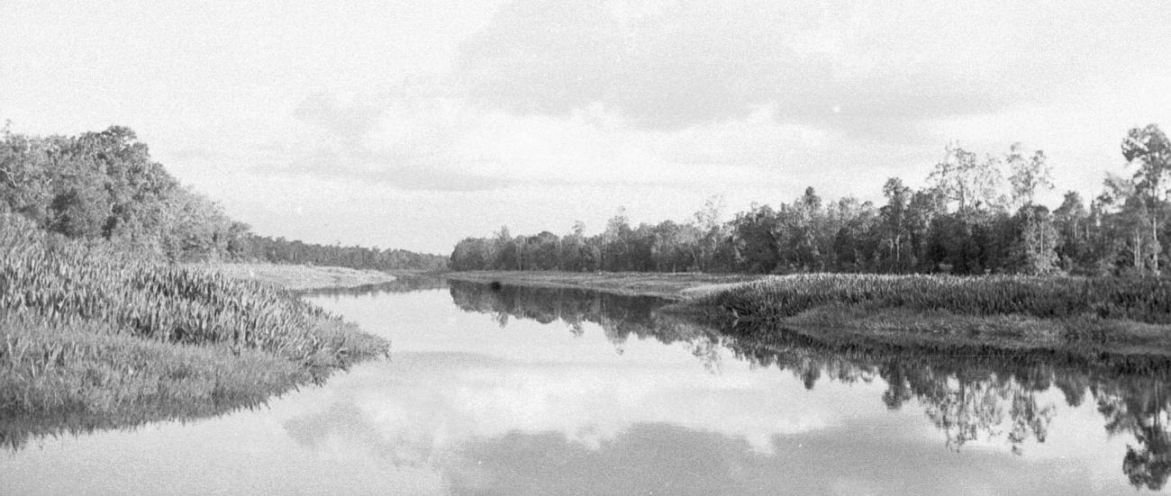BD/133/280 -
Opname van de rivier met rietbegroei