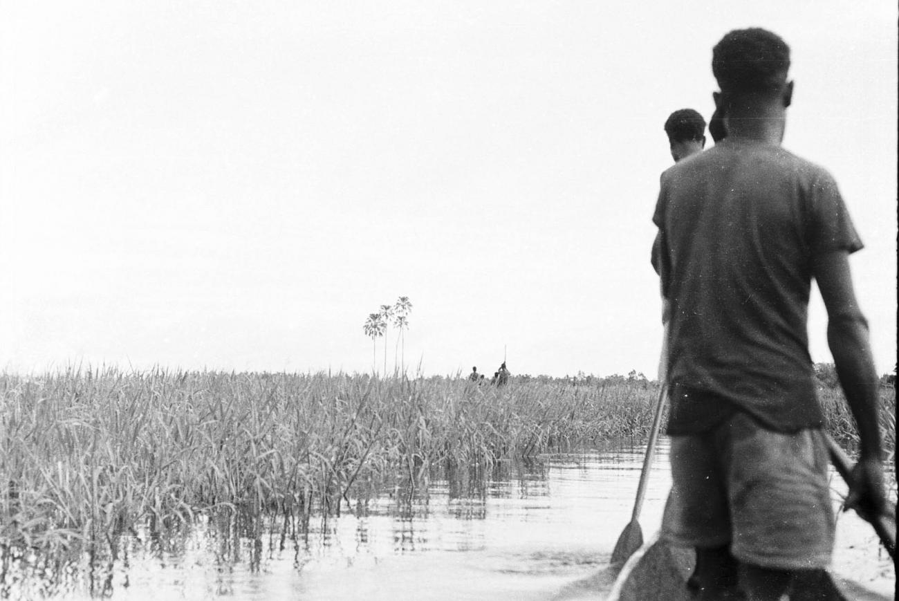 BD/133/289 -
Tocht Merauke-Kepi-Cook: Staande in een bootje varende door het riet