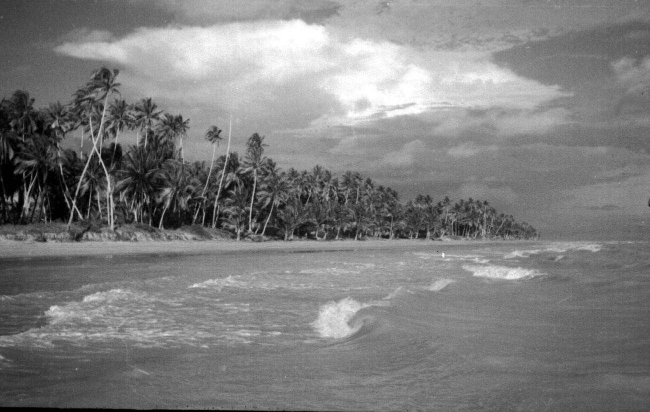 BD/133/28 - 
The sea near Merauke
