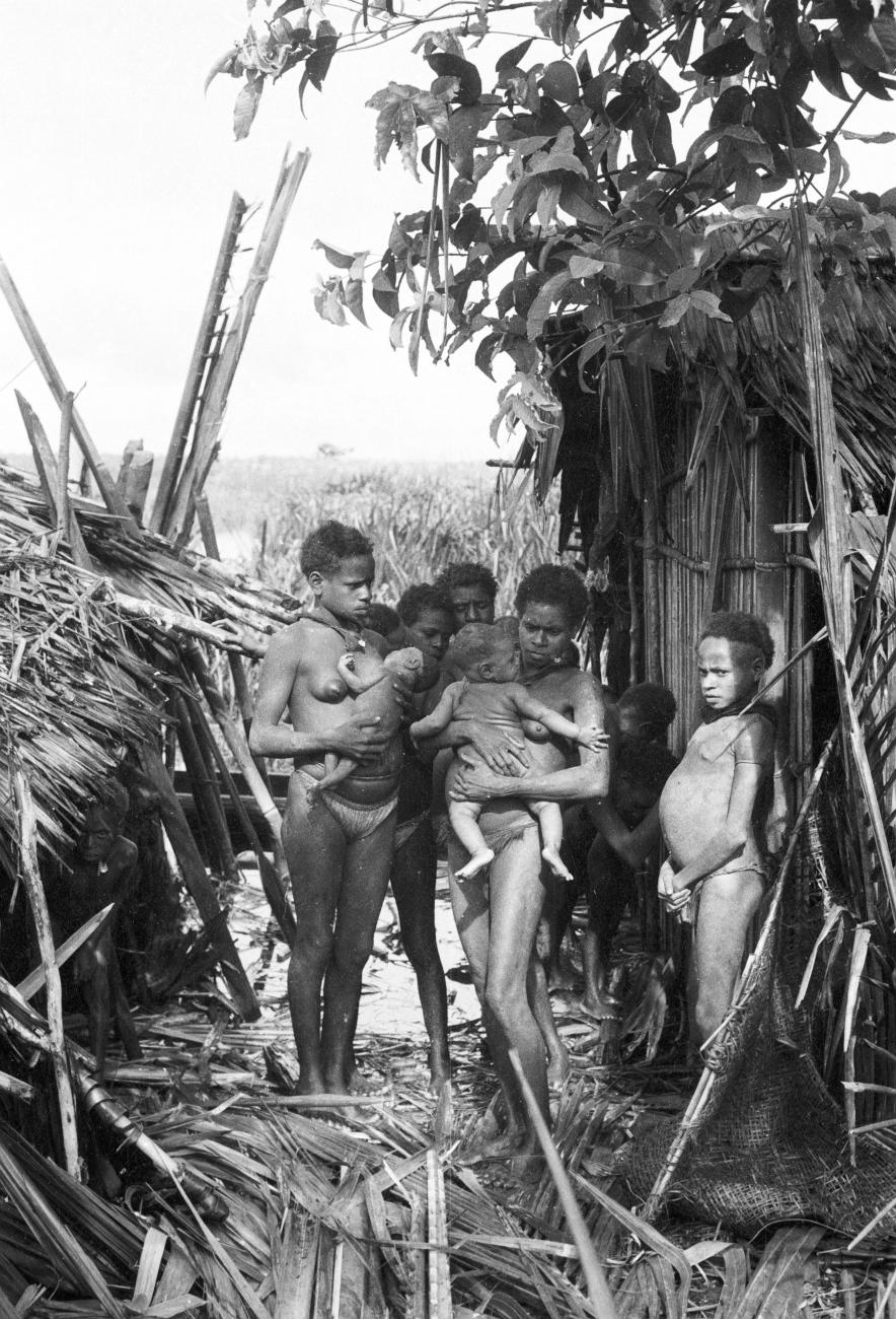 BD/133/292 -
Tocht Merauke-Kepi-Cook: Vrouwen met kinderen tussen de hutten