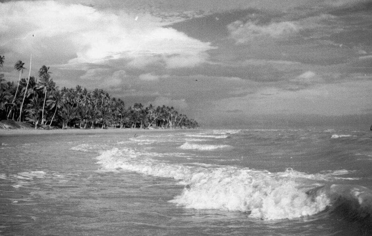 BD/133/29 - 
The sea near Merauke
